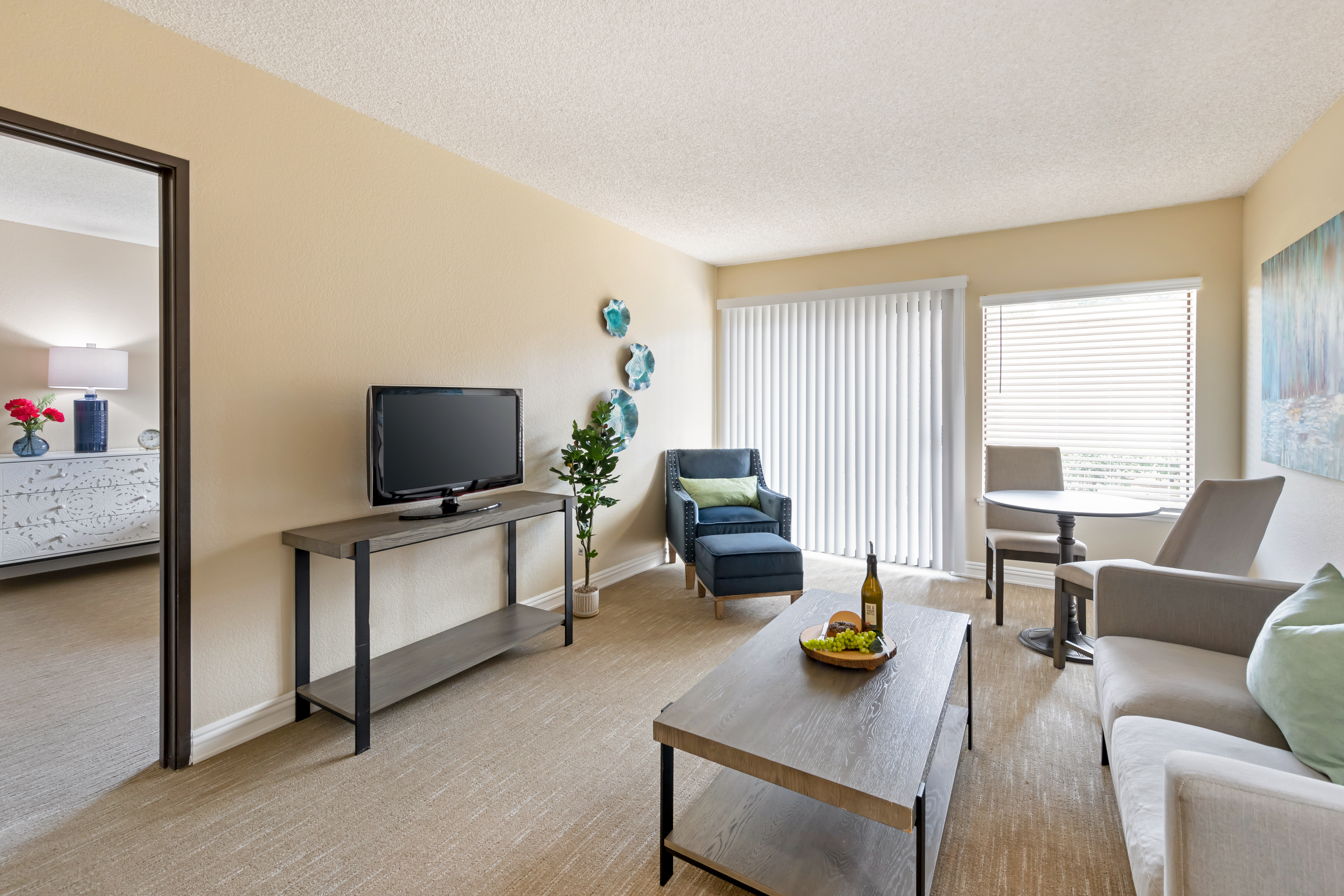 Apartment Living Room