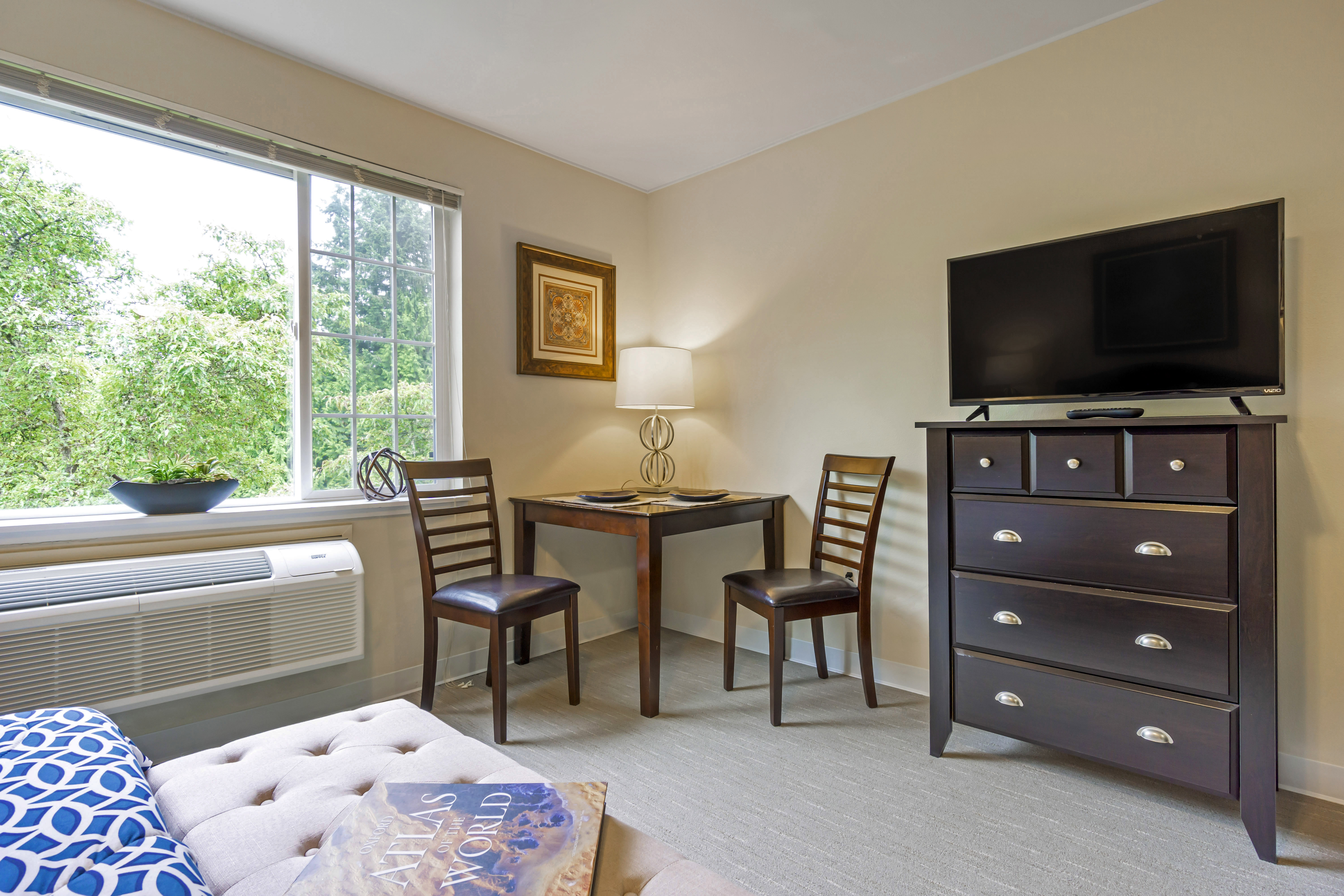 Apartment Living Room