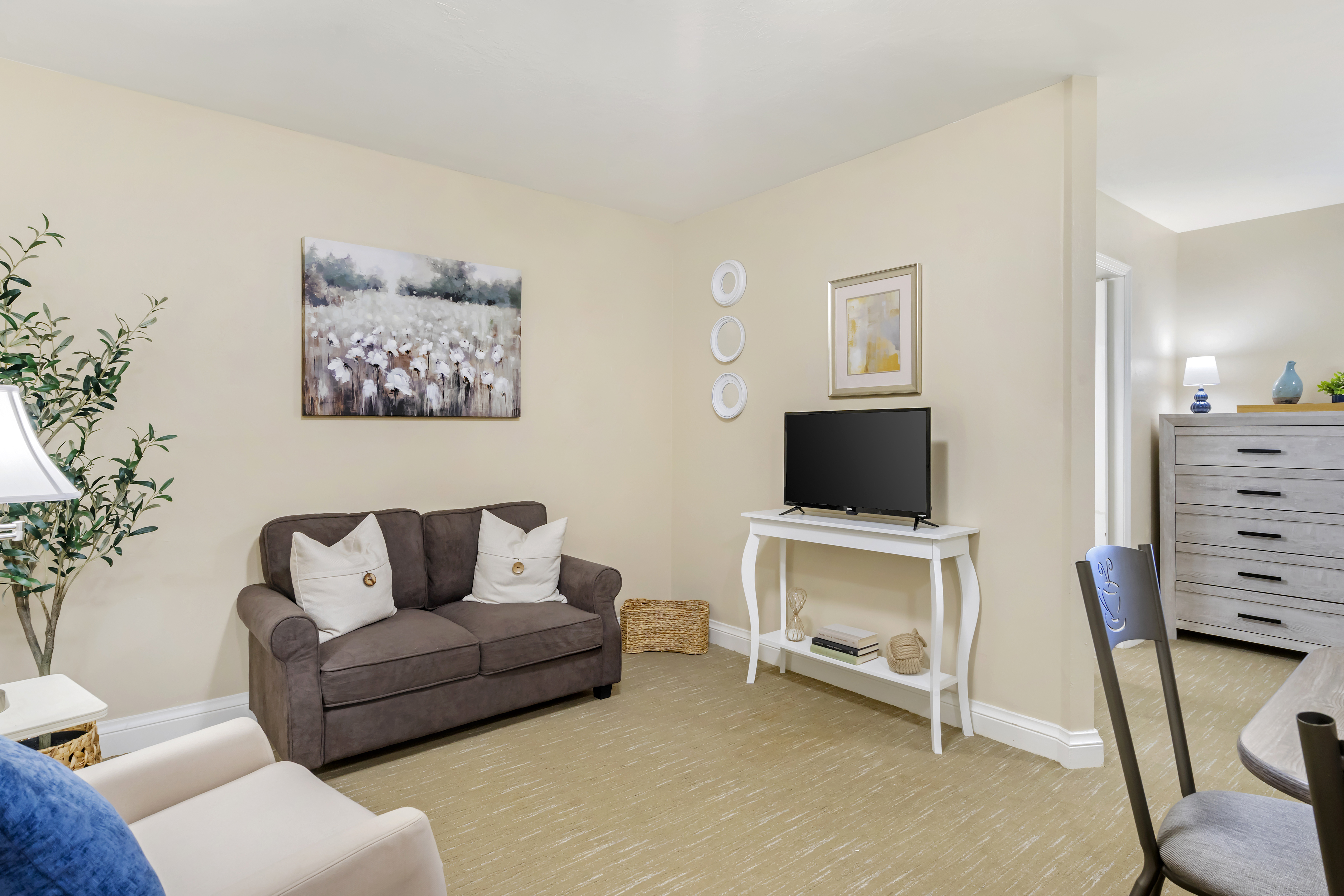 Apartment Living Room