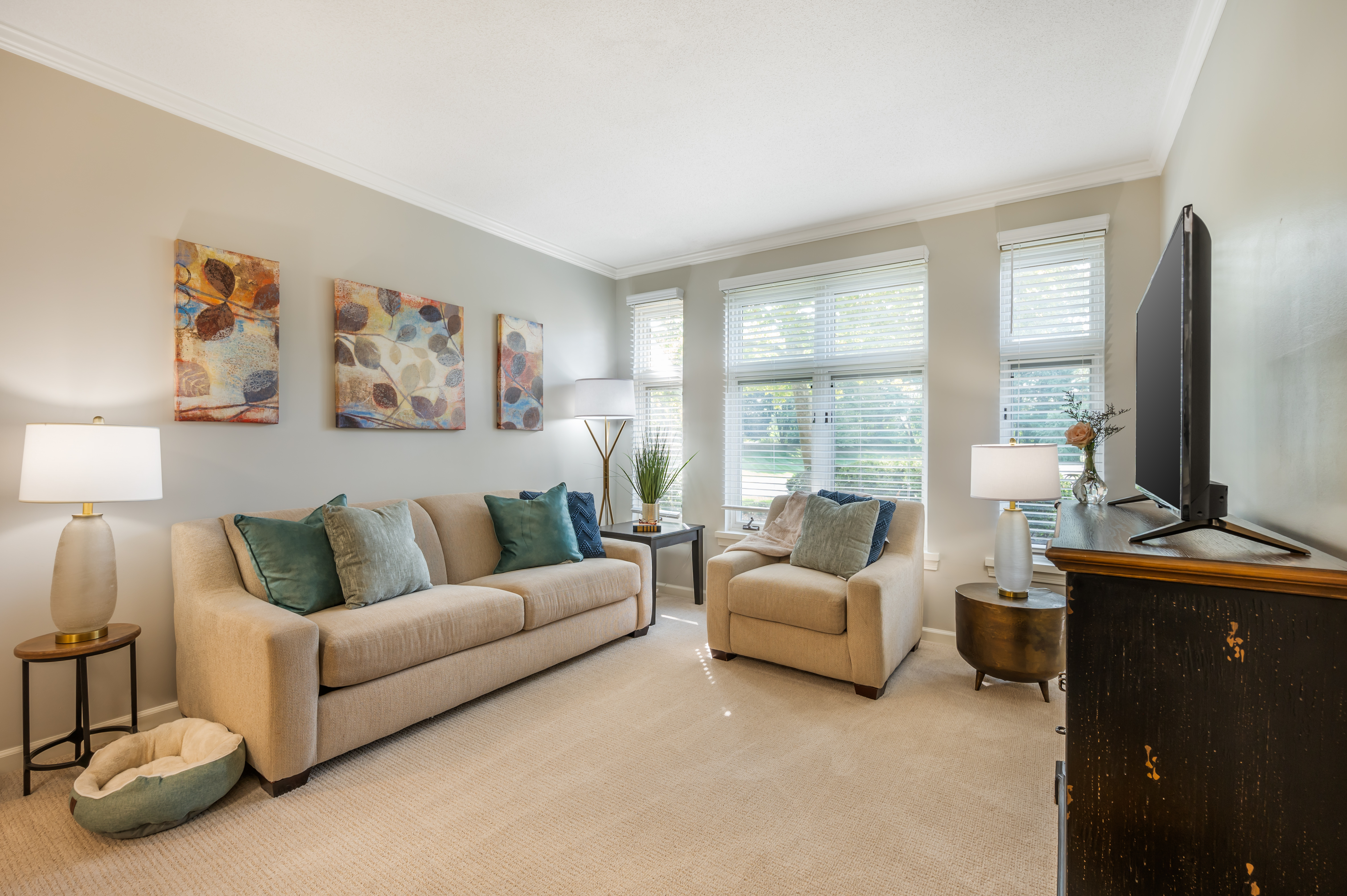 Apartment Living Room