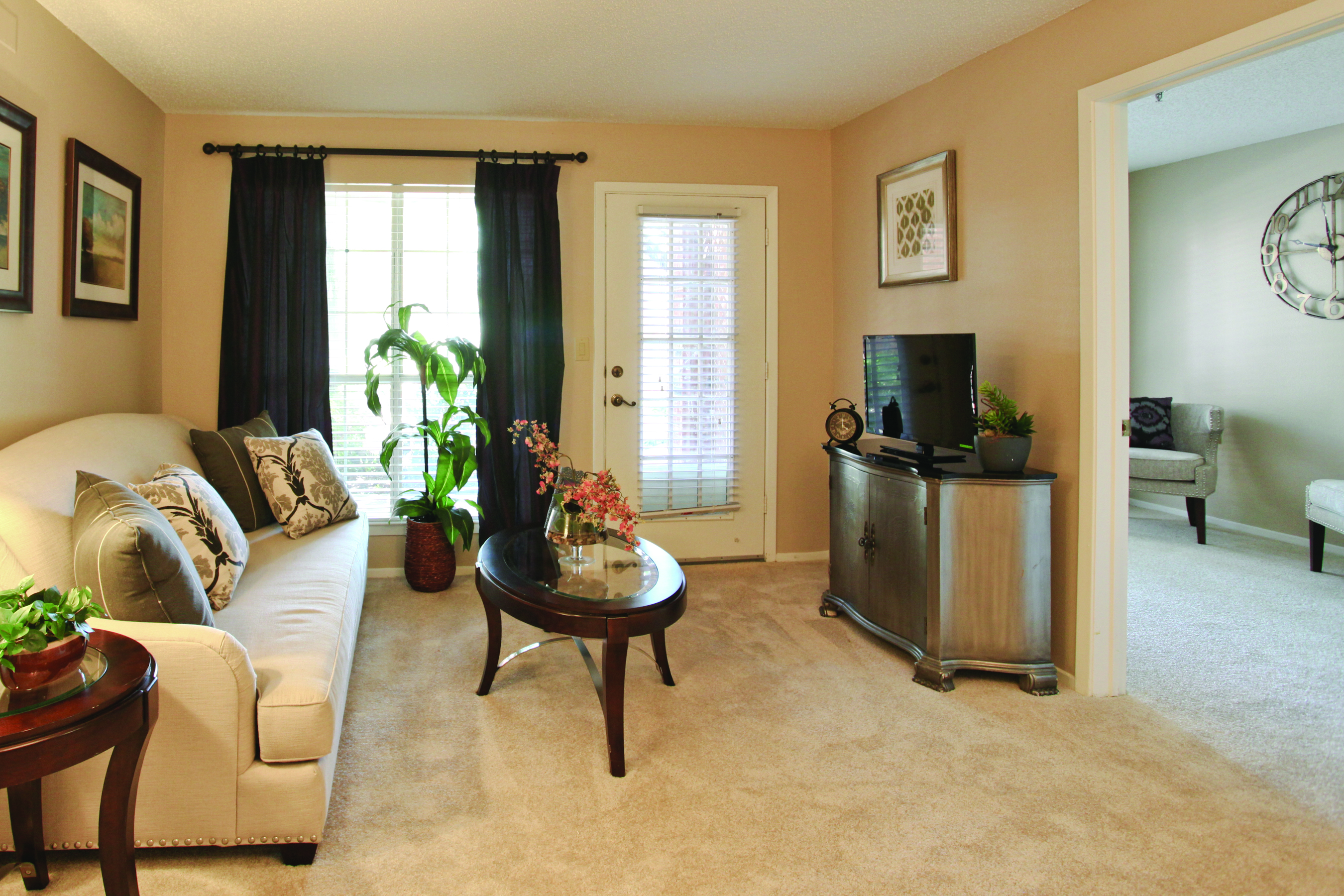 Apartment Living Room