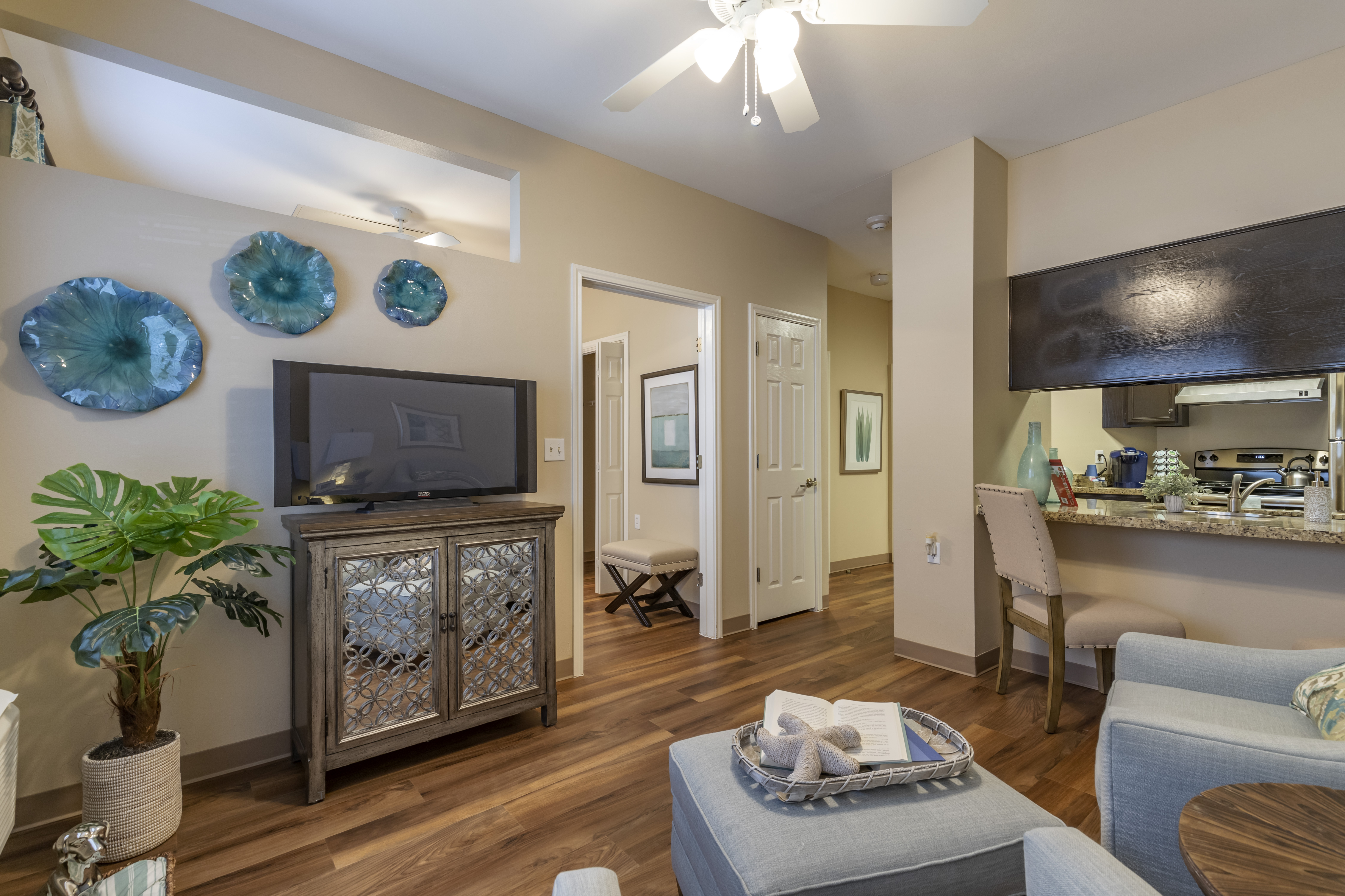 Apartment Living Room