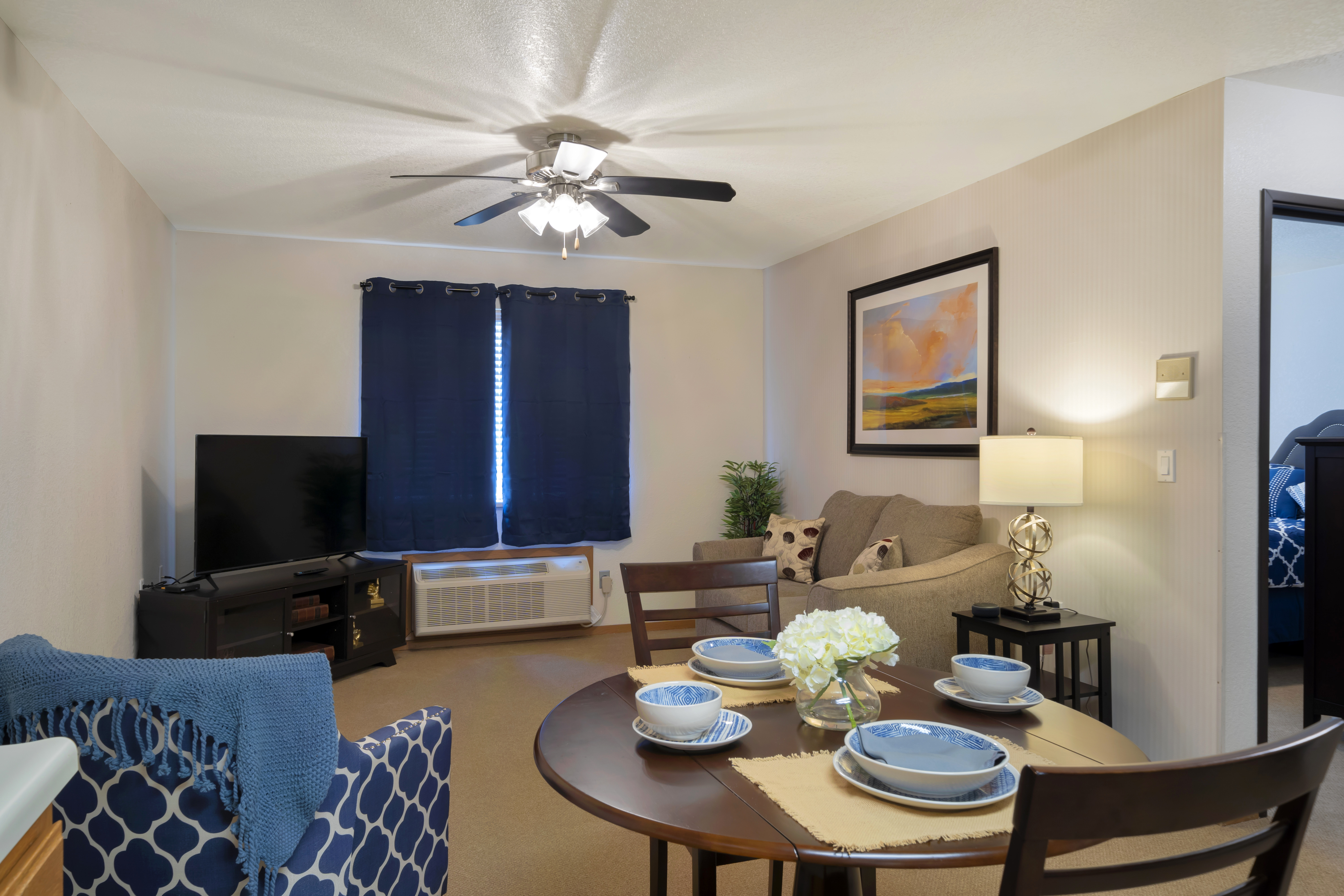 Apartment Living Room