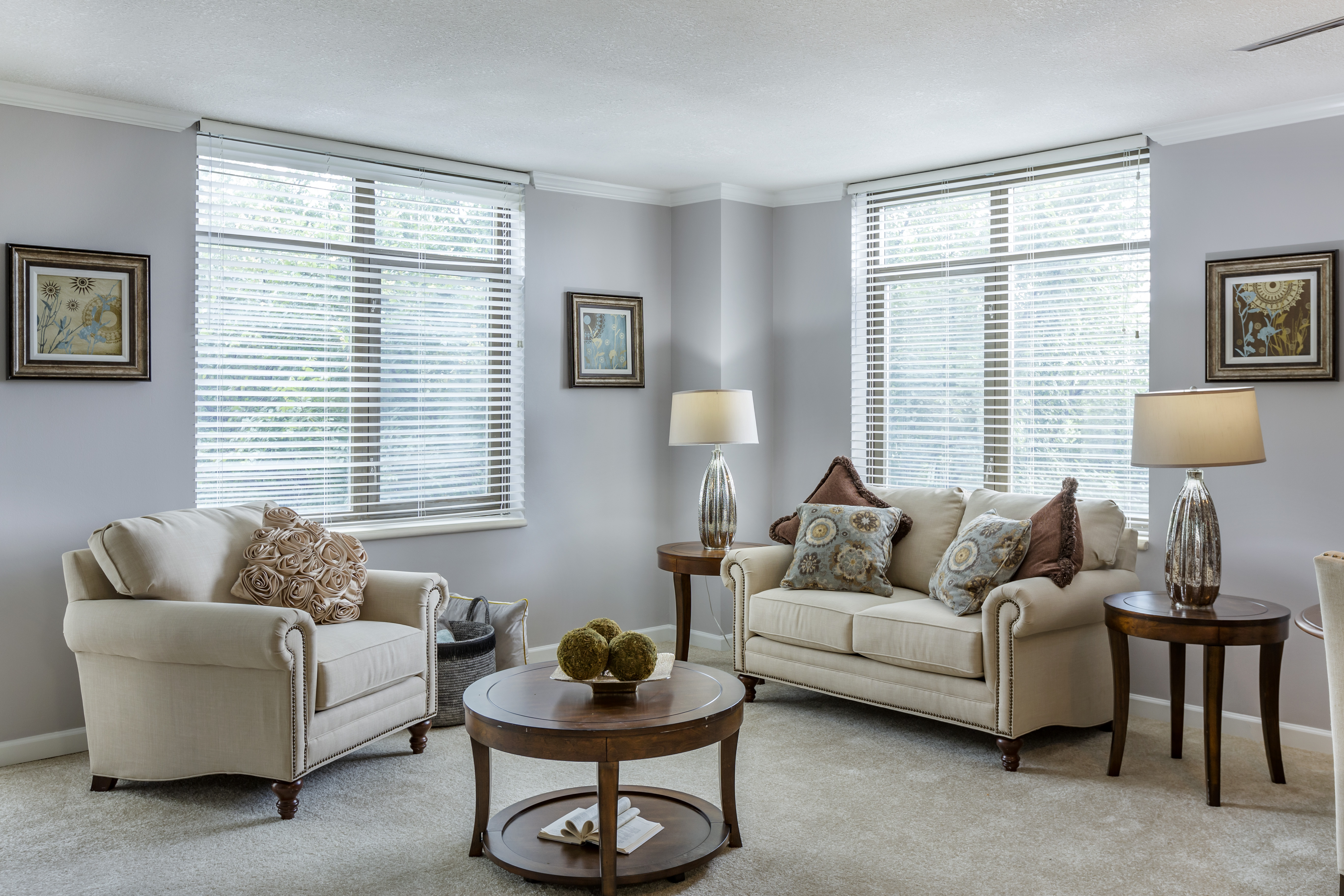 Brookdale Gaines Ranch Apartment Living Room
