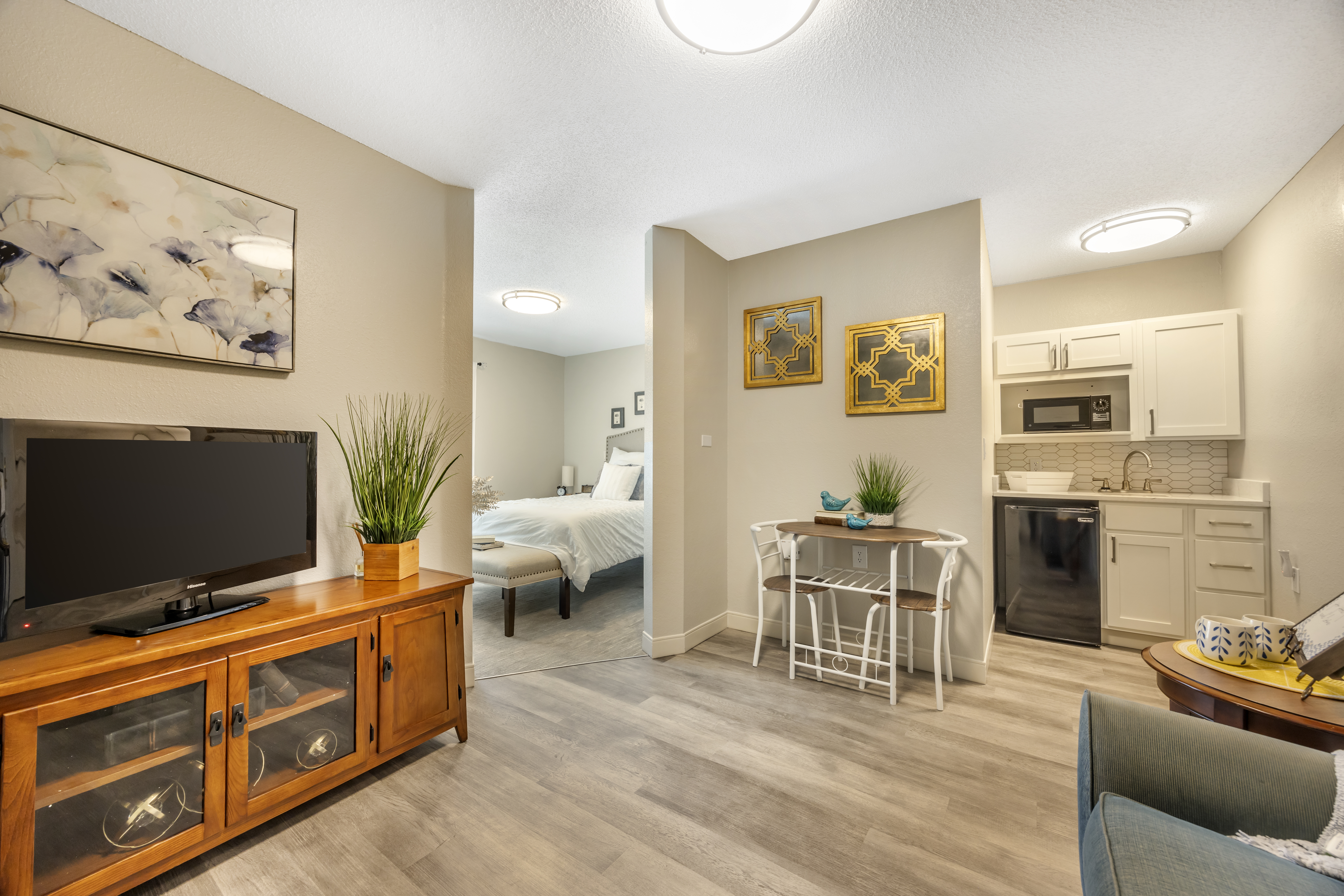 Apartment Living Room