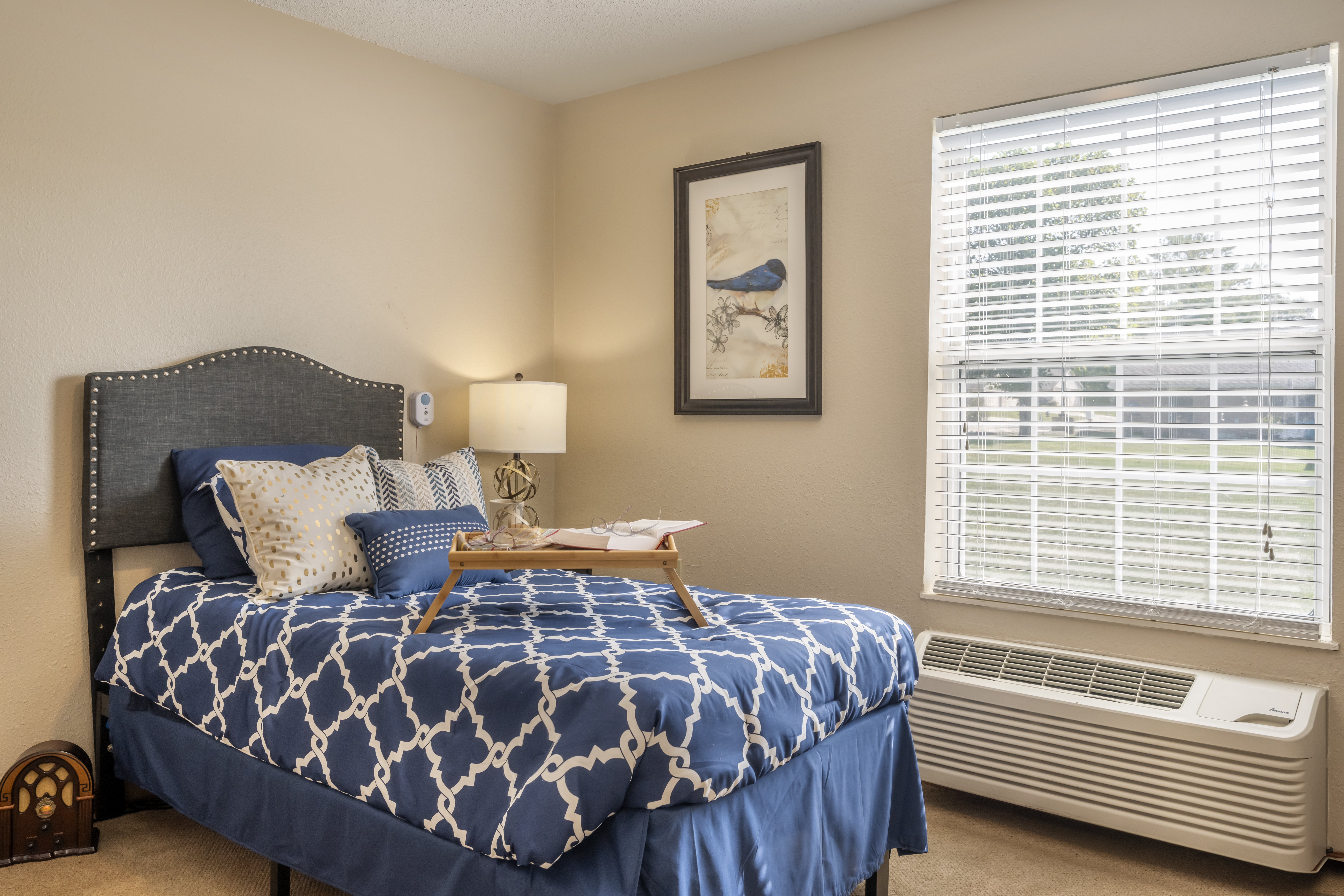 Brookdale Greenville Apartment Bedroom