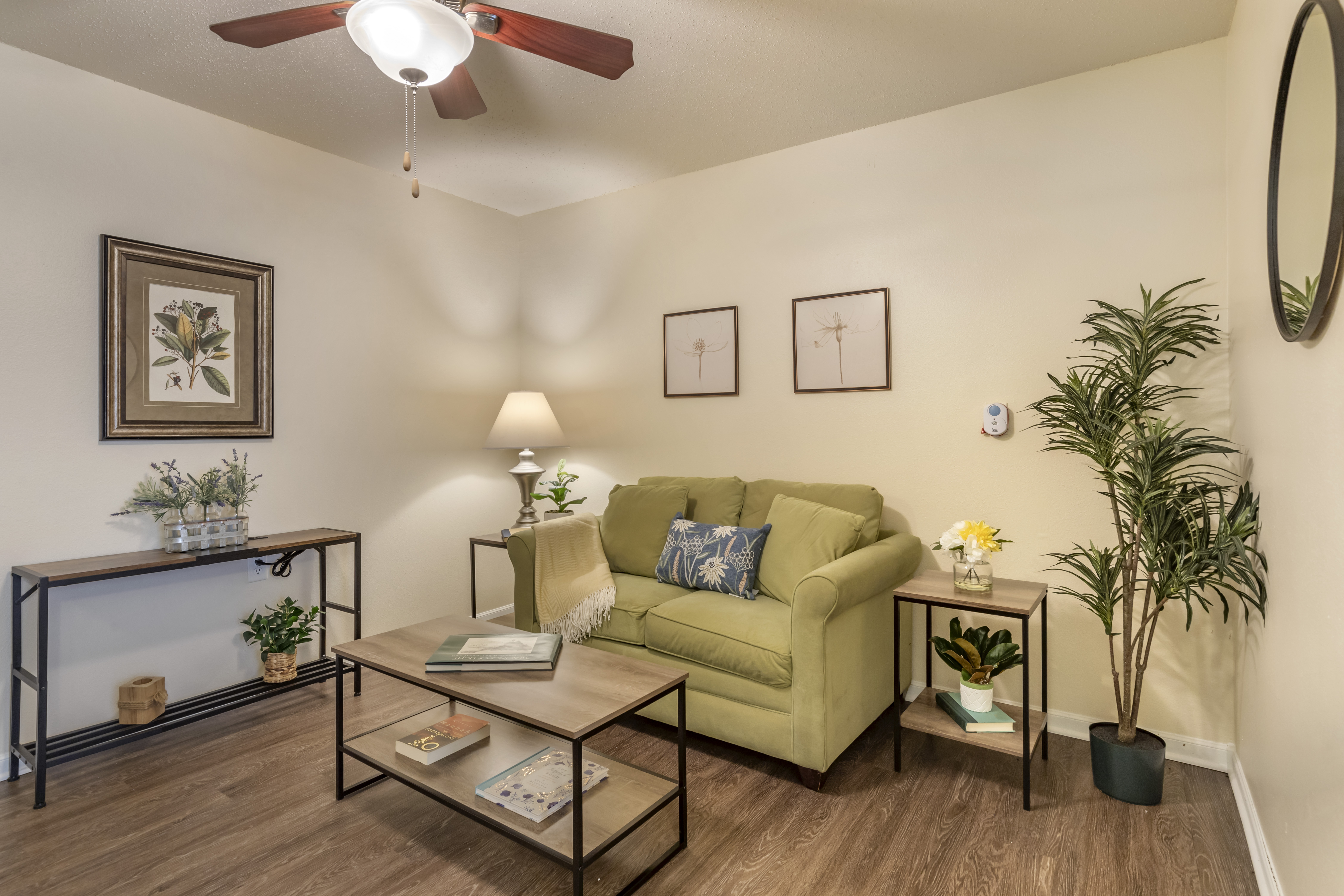 Brookdale New Braunfels Apartment Living Room