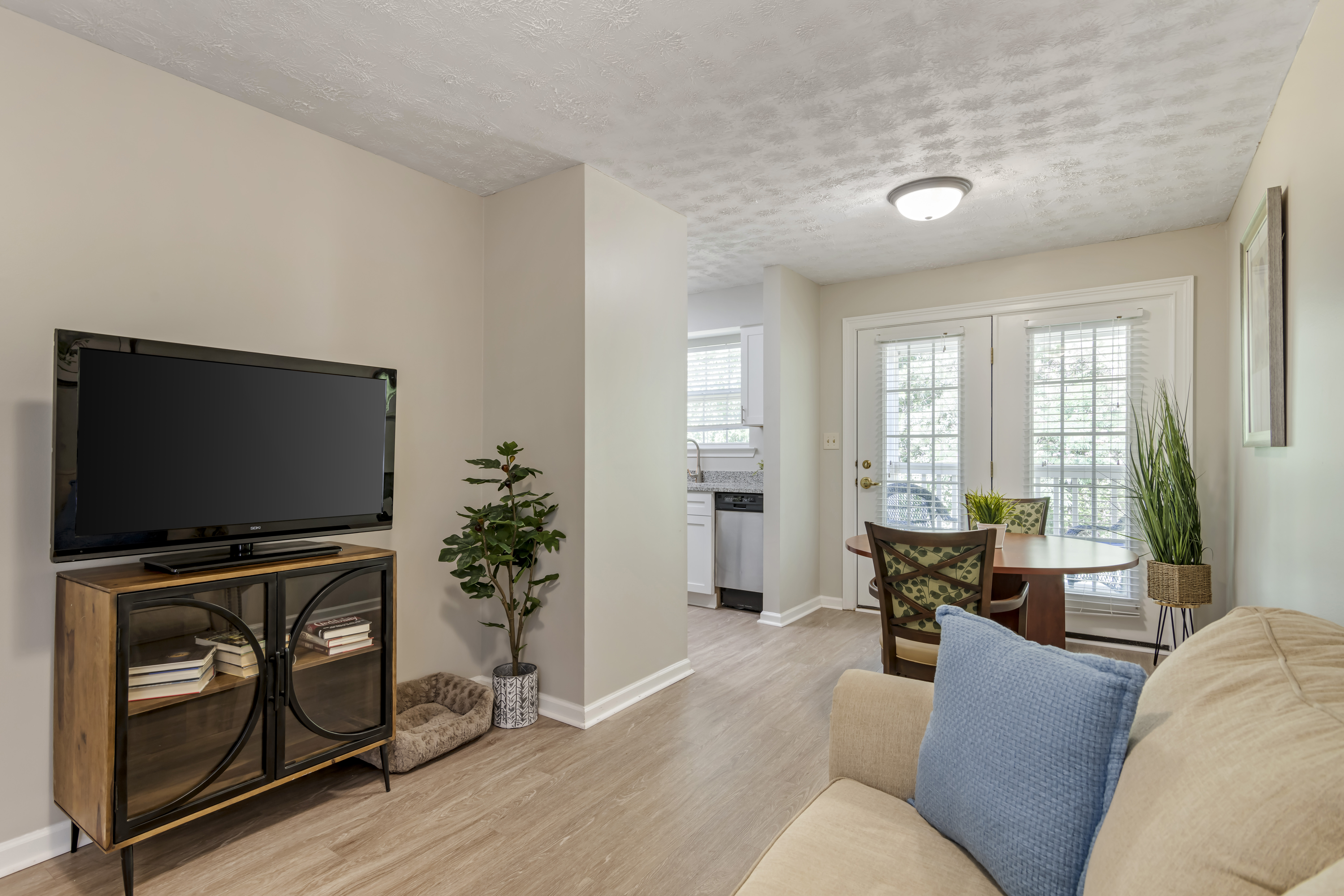 Apartment Living Room