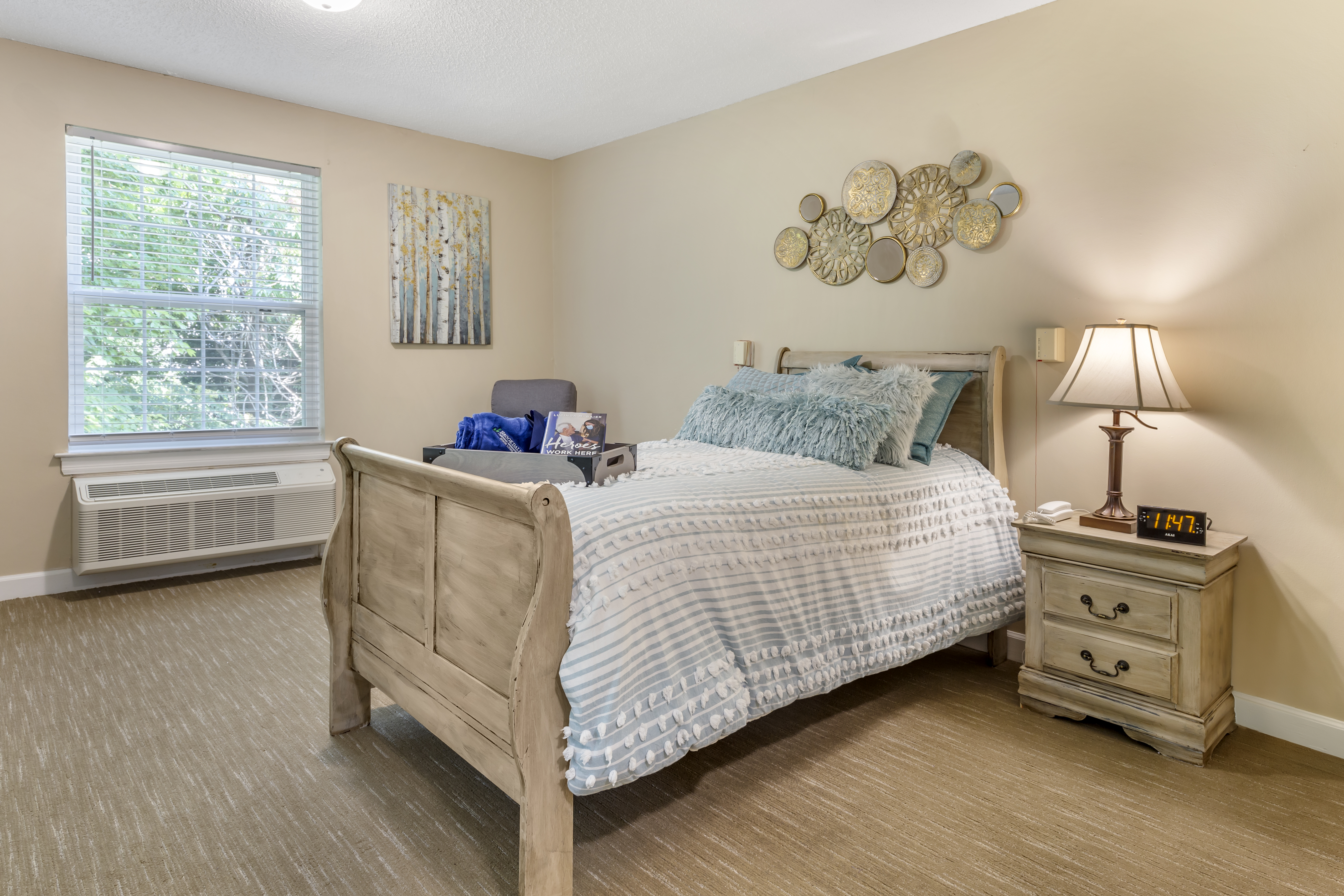 Brookdale Northwest Greensboro Apartment Bedroom