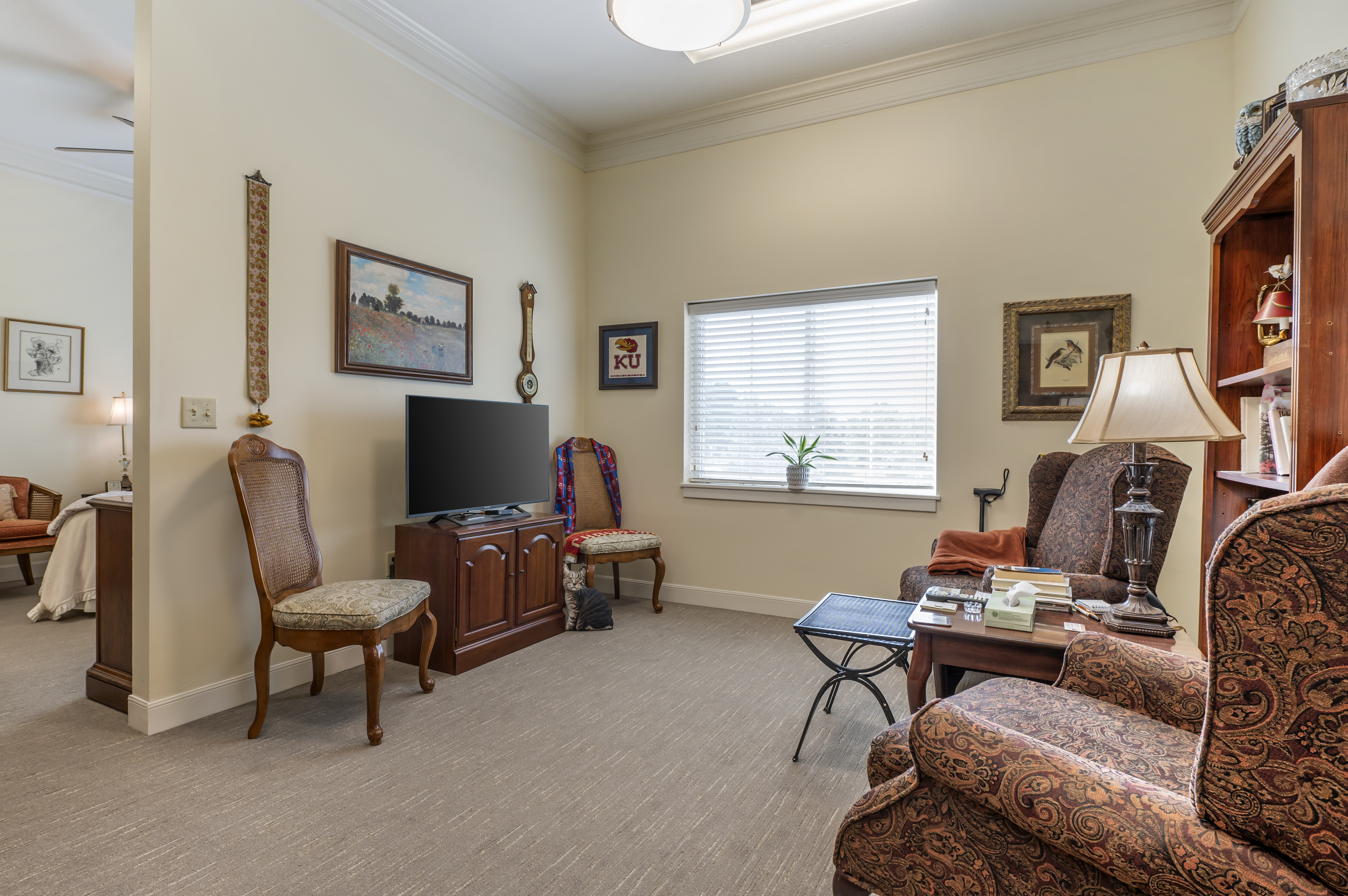 Apartment Living Room