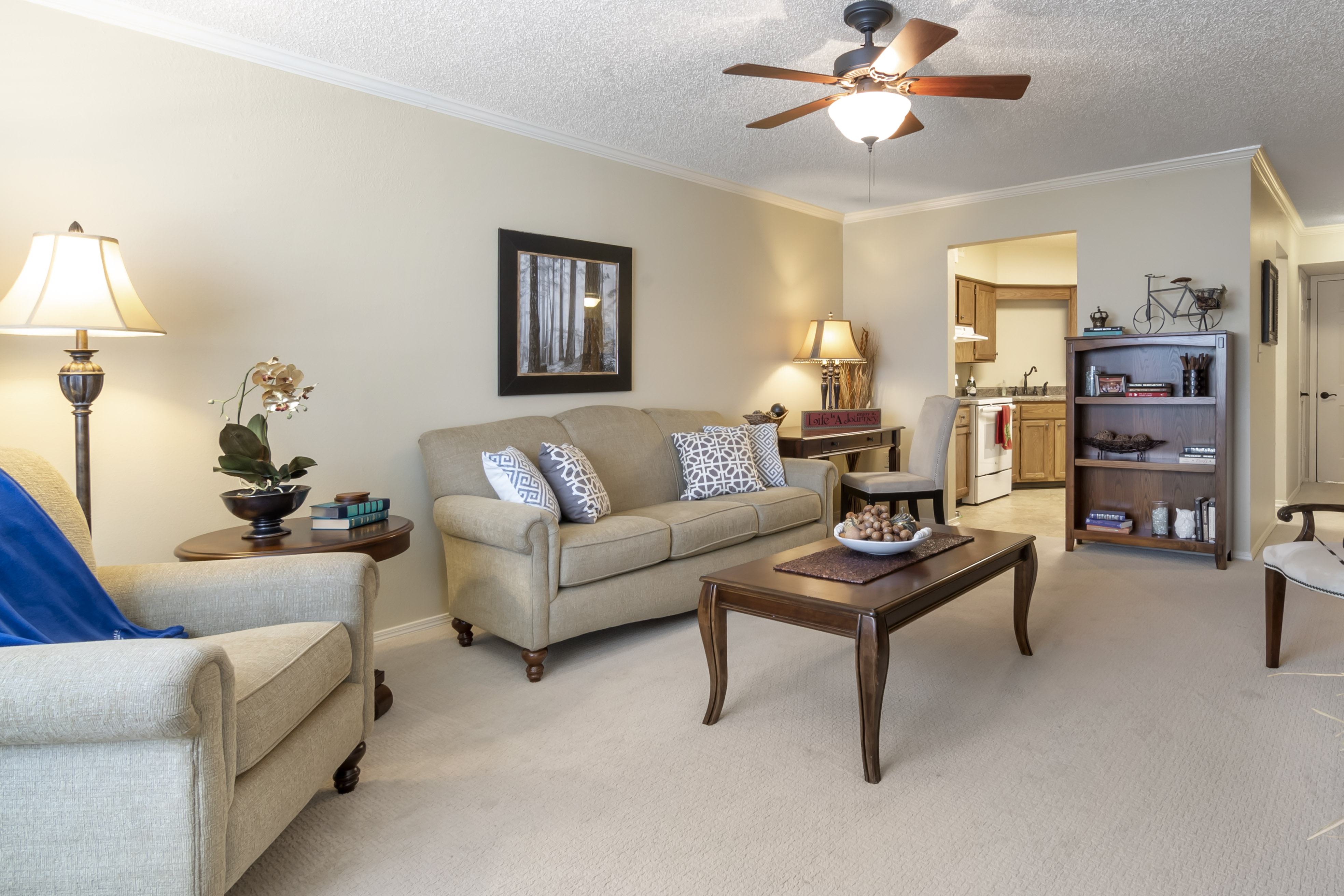 Apartment Living Room