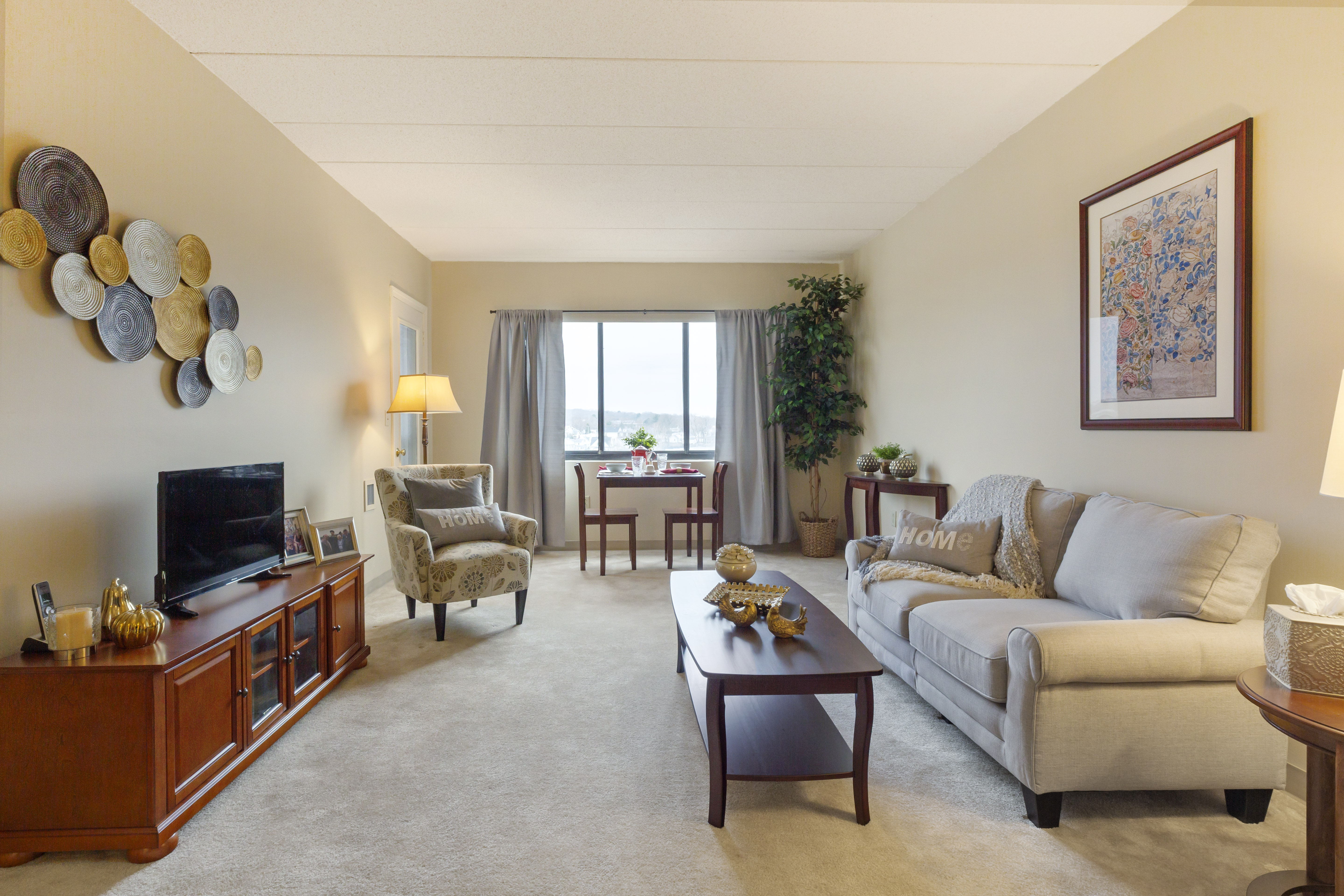 Apartment Living Room