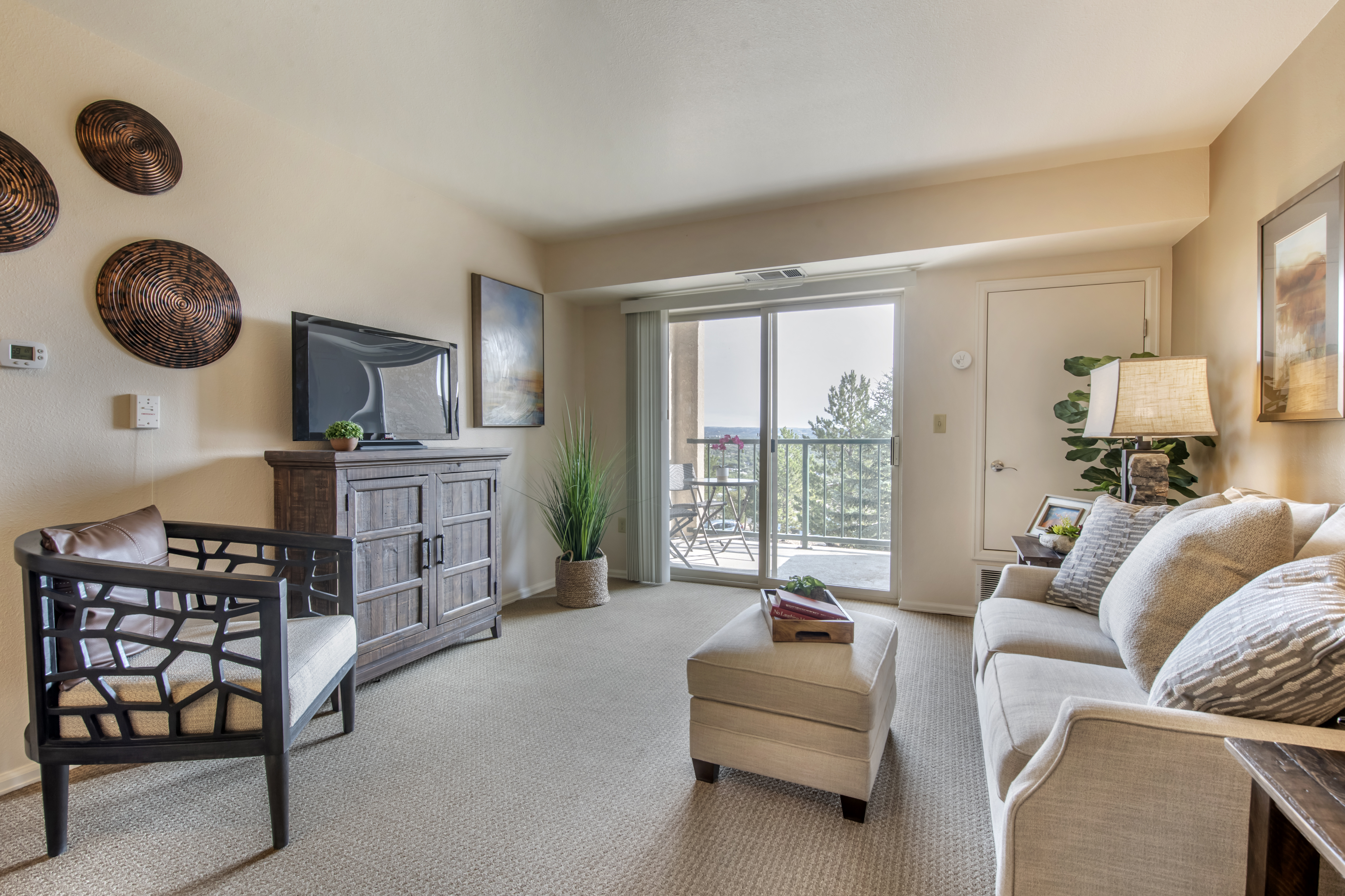 Apartment Living Room