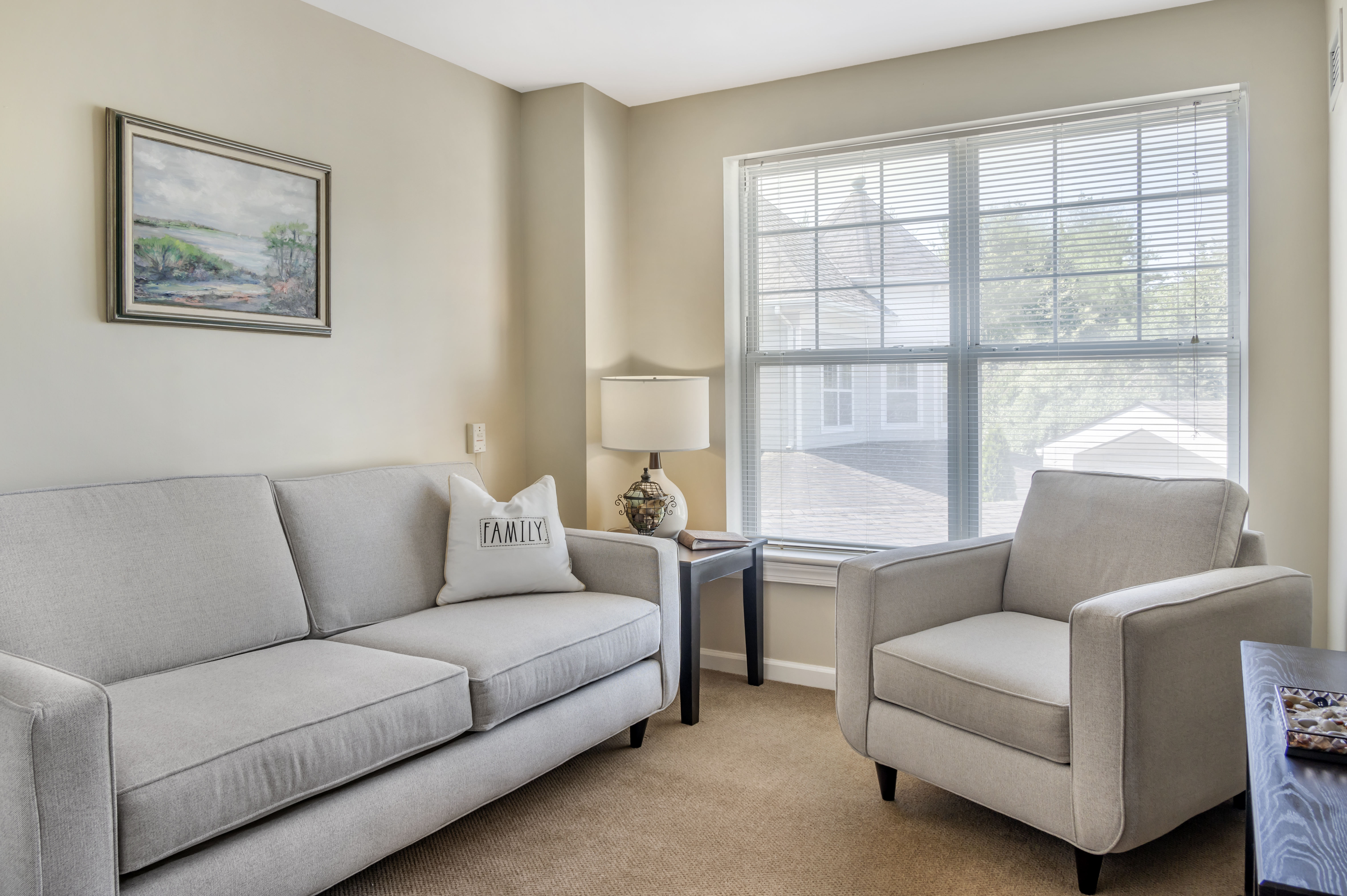 Apartment Living Room