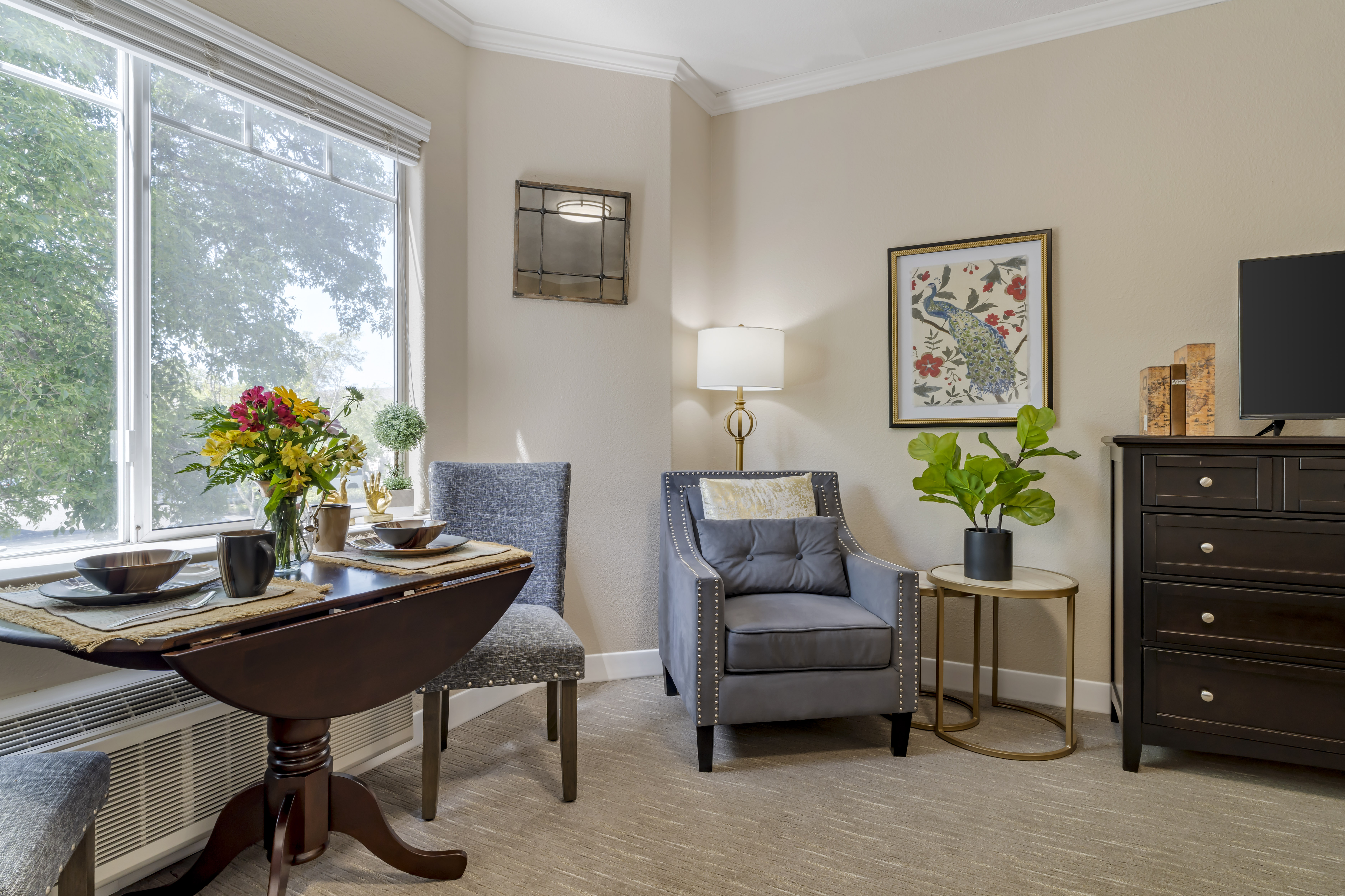 Apartment Living Room