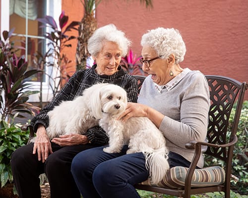 women sitting on bench with dogs