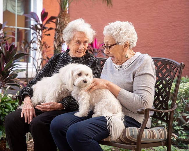 women sitting on bench with dogs