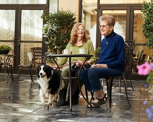woman with a dog and her friend sharing coffee