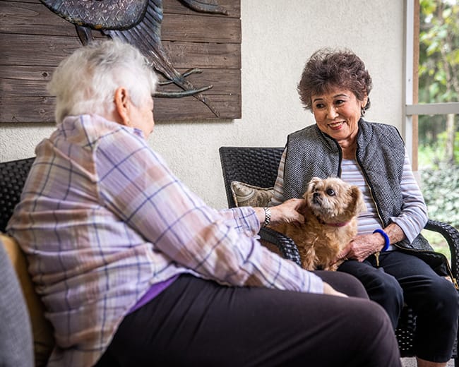 friends sitting with dog