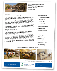 Brochure