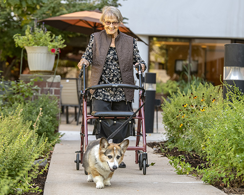 woman walking dog