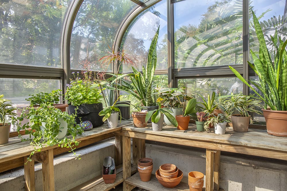Greenhouse
