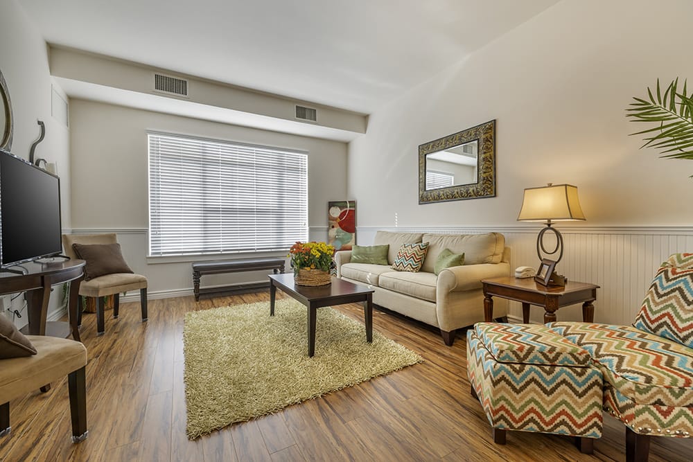 Apartment Living Room