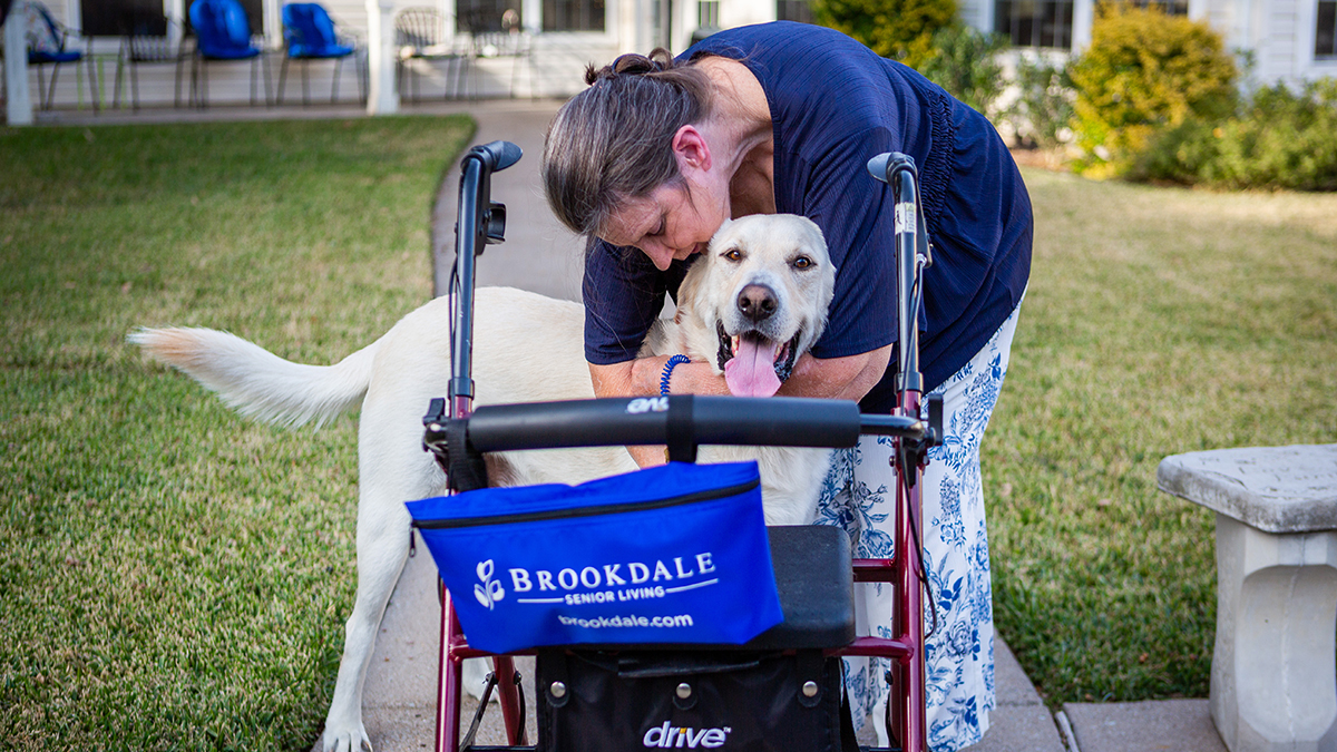  A Canine Companion