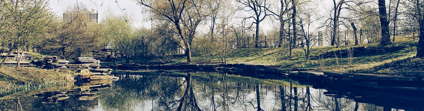 Chicago park