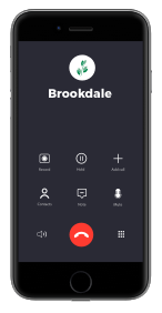 Phone